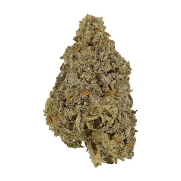 Frosty Gelato | Crystal Cloud 9 Canada