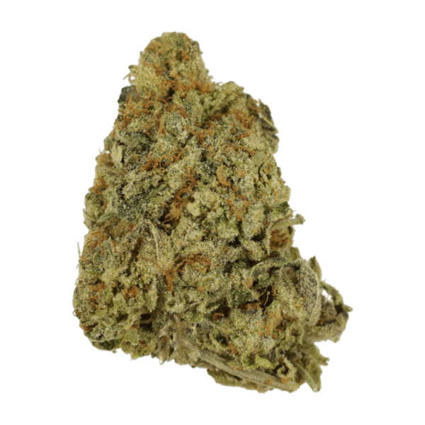 G Whiz | Crystal Cloud 9 Canada
