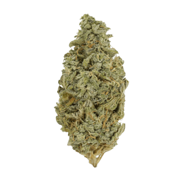 Orange Cookies | Crystal Cloud 9 Canada