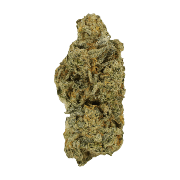 Cinderella 99 | Crystal Cloud 9 Canada