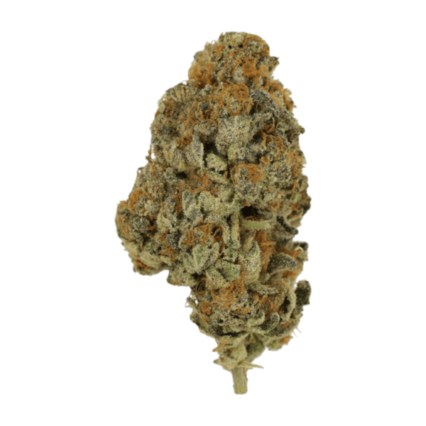 Key Lime Pie | Crystal Cloud 9 Canada