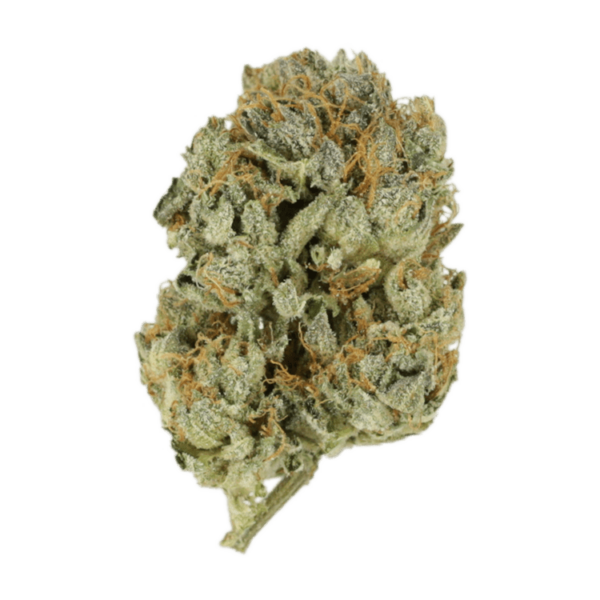 Kashmir Kush | Crystal Cloud 9 Canada