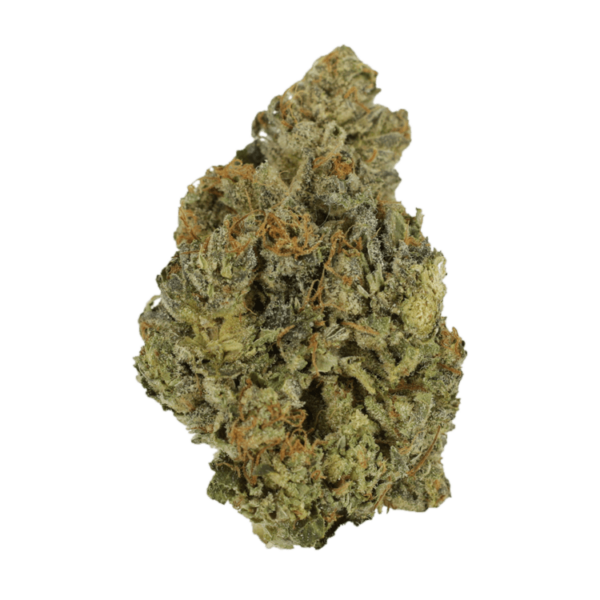 Lady Bird | Crystal Cloud 9 Canada