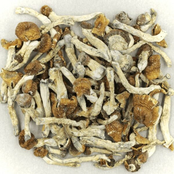 Florida White | Crystal Cloud 9 Canada