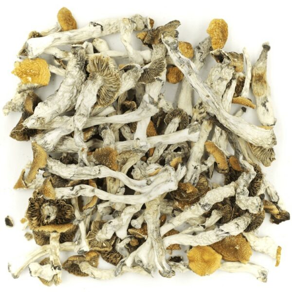 Golden Teacher | Crystal Cloud 9 Canada