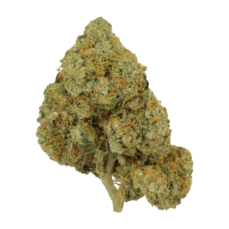 Pink Gas | Crystal Cloud 9 Canada
