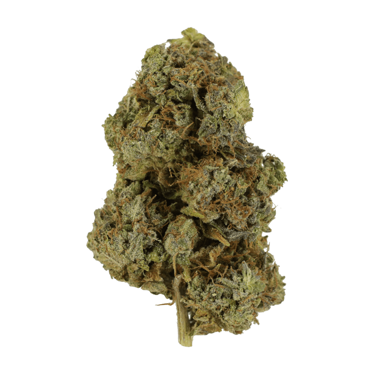 Lemon Creme | Crystal Cloud 9 Canada