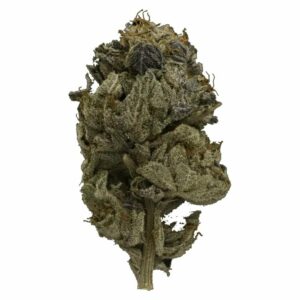 Crystal Cloud 9 Canada - Pink Gas Strain | Crystal Cloud 9 Canada