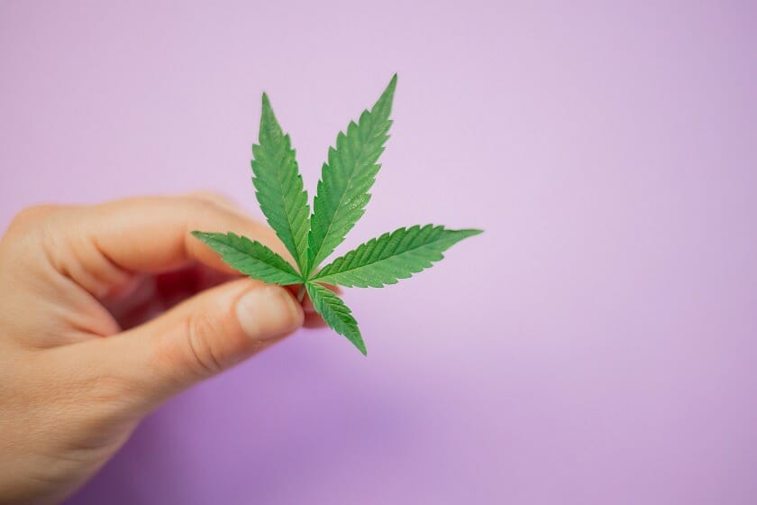 Crystal Cloud 9 Canada: Your One-Stop Shop for Premium cannabis Products | Crystal Cloud 9 Canada
