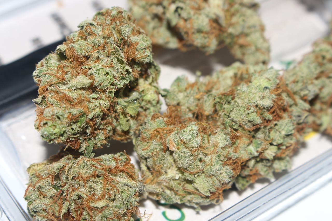 | Crystal Cloud 9 Canada Hybrid cannabis Strains | Crystal Cloud 9 Canada