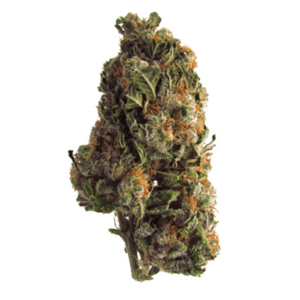 Grape Crush | Crystal Cloud 9 Canada