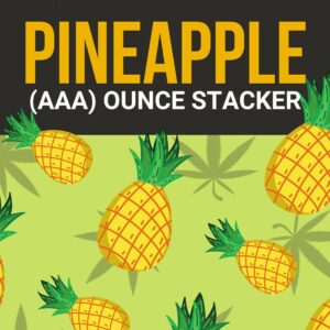 Pineapple 1 OZ Kit | Crystal Cloud 9 Canada